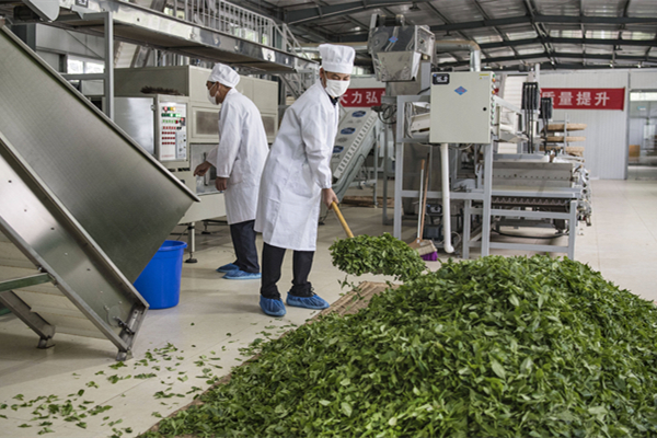 梅州制茶廠(chǎng)消防改造工程項(xiàng)目