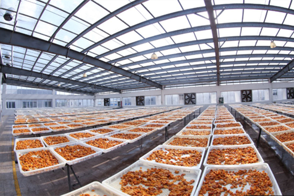 云浮蜜餞工廠消防維保