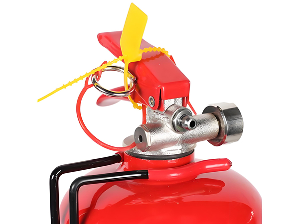 檢查滅火器的外觀與結(jié)構(gòu) 檢查滅火器的外觀與結(jié)構(gòu)